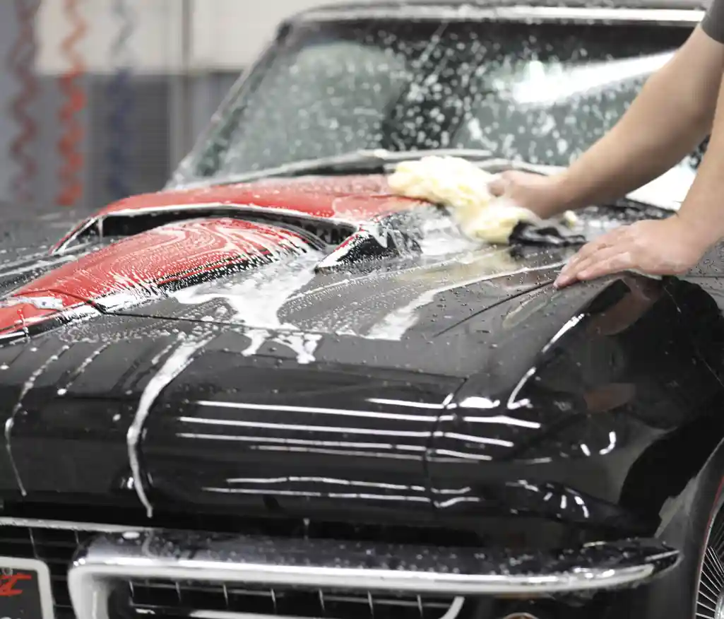 ziebart detaylı dış temizlik