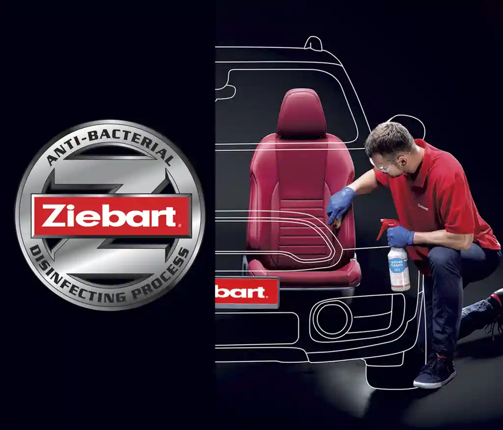 Ziebart Detaylı iç temizlik