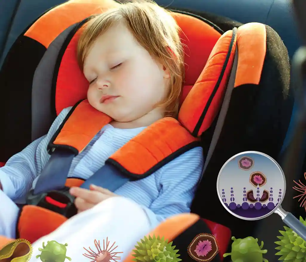 ziebart iç mekan koruma